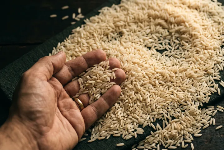 Illustrative close-up of rice grains